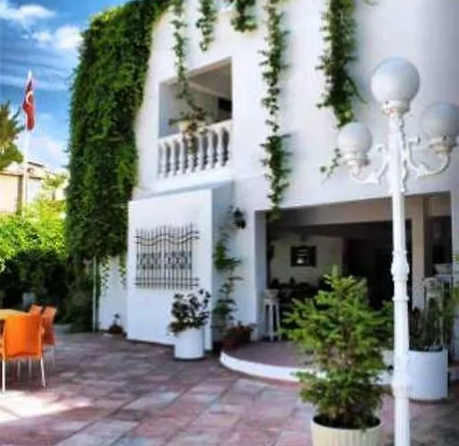 Golden Gate Hotel 3*