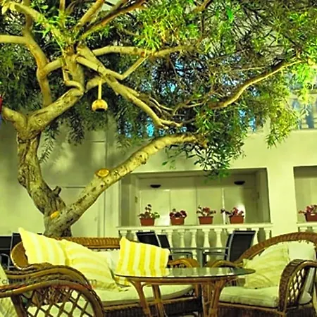 Golden Gate Hotel 3*